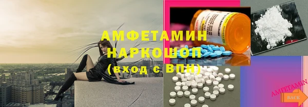 твердый Долгопрудный