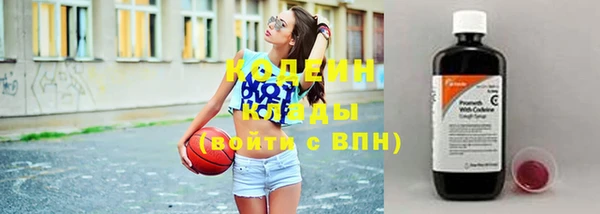 твердый Долгопрудный