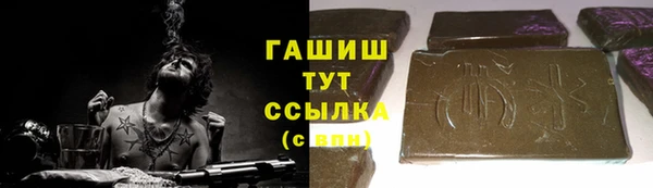 твердый Долгопрудный