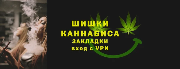 твердый Долгопрудный